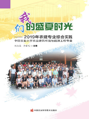 cover image of 我们的盛夏时光